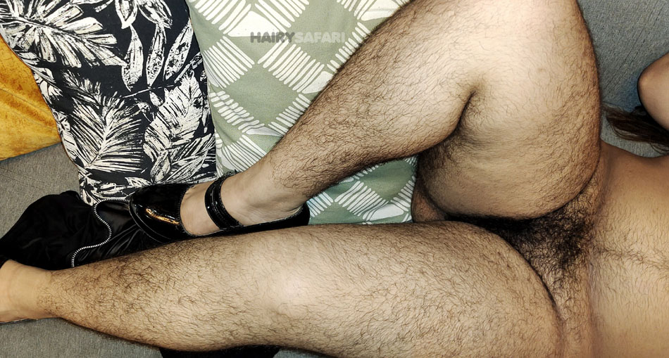 HairySafari movies hero banner